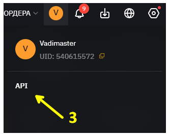 Меню пользователя – пункт API